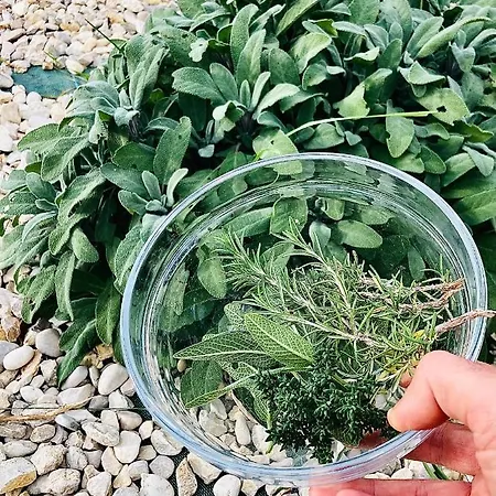 Bed & Breakfast Casa Dello Yoga E Private 4*