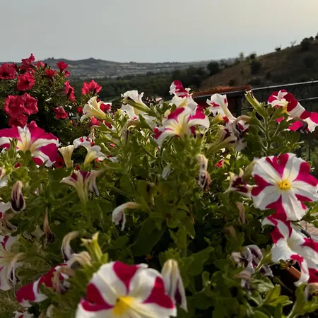 Bed & Breakfast Casa Dello Yoga E Private