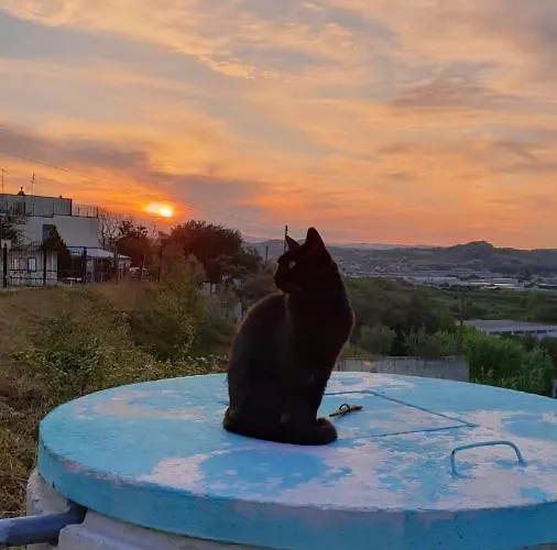 לינה וארוחת בוקר Casa Dello Yoga E Private 4*