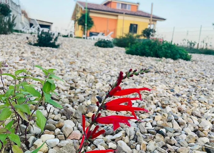 Casa Dello Yoga E Private Отель типа 