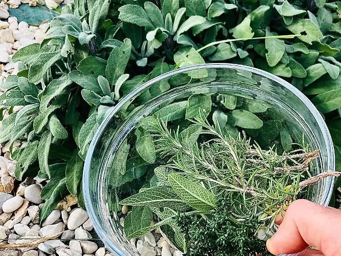 לינה וארוחת בוקר Casa Dello Yoga E Private 4*