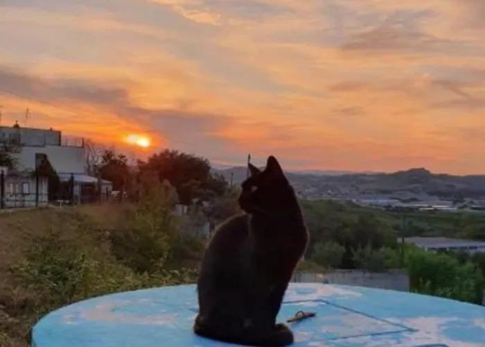 Casa Dello Yoga E Private Отель типа 