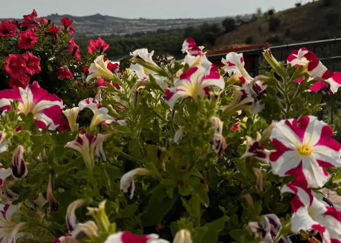 לינה וארוחת בוקר Casa Dello Yoga E Private