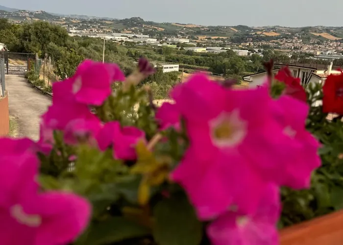 Casa Dello Yoga E Private לינה וארוחת בוקר קולונלה